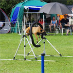 produkt_rsgestell_kl5