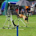 produkt_rsgestell_kl6