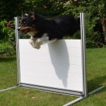 RS-Obedience Hürde Hund beim Sprung
